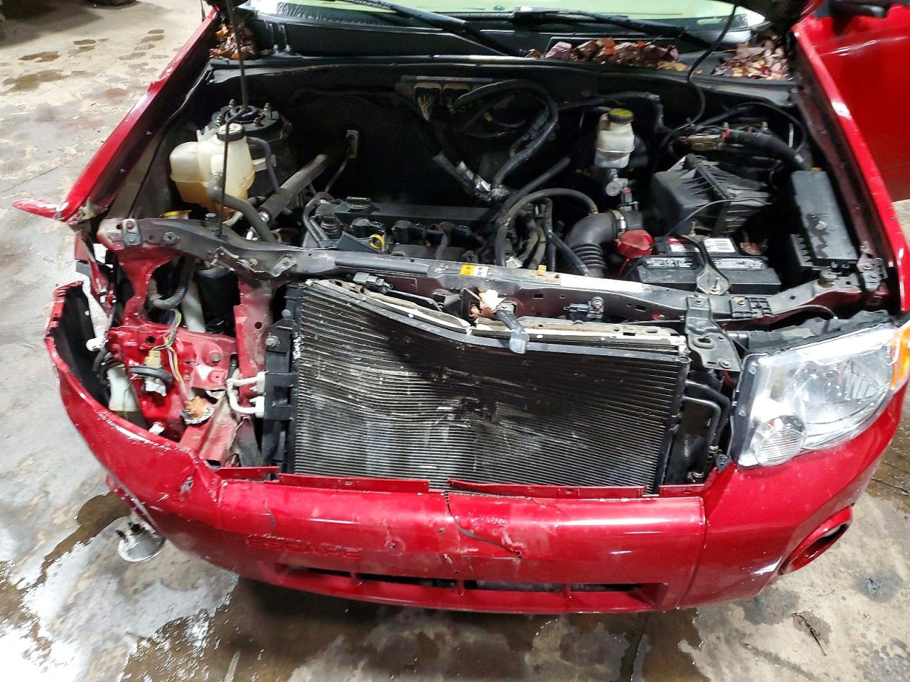 2010 FORD ESCAPE XLT photo 11