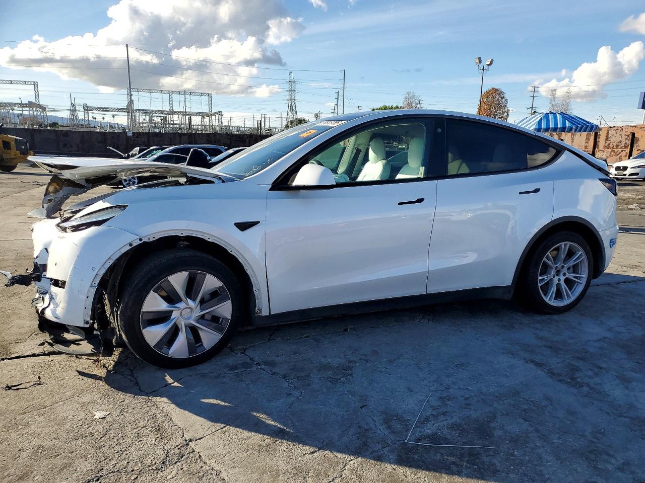 2021 TESLA MODEL Y