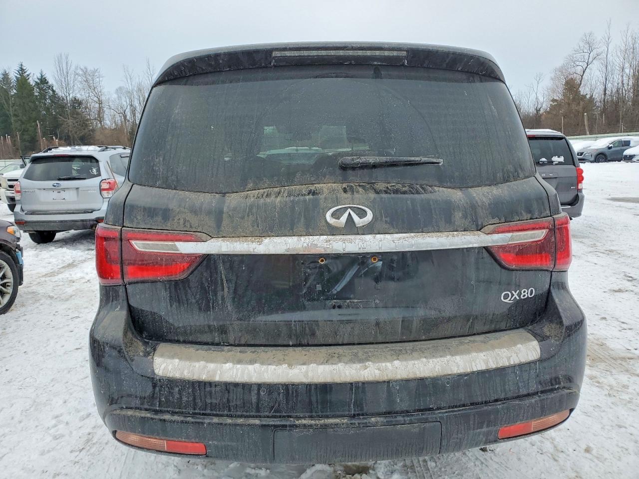 2019 INFINITI QX80 LUXE photo 6