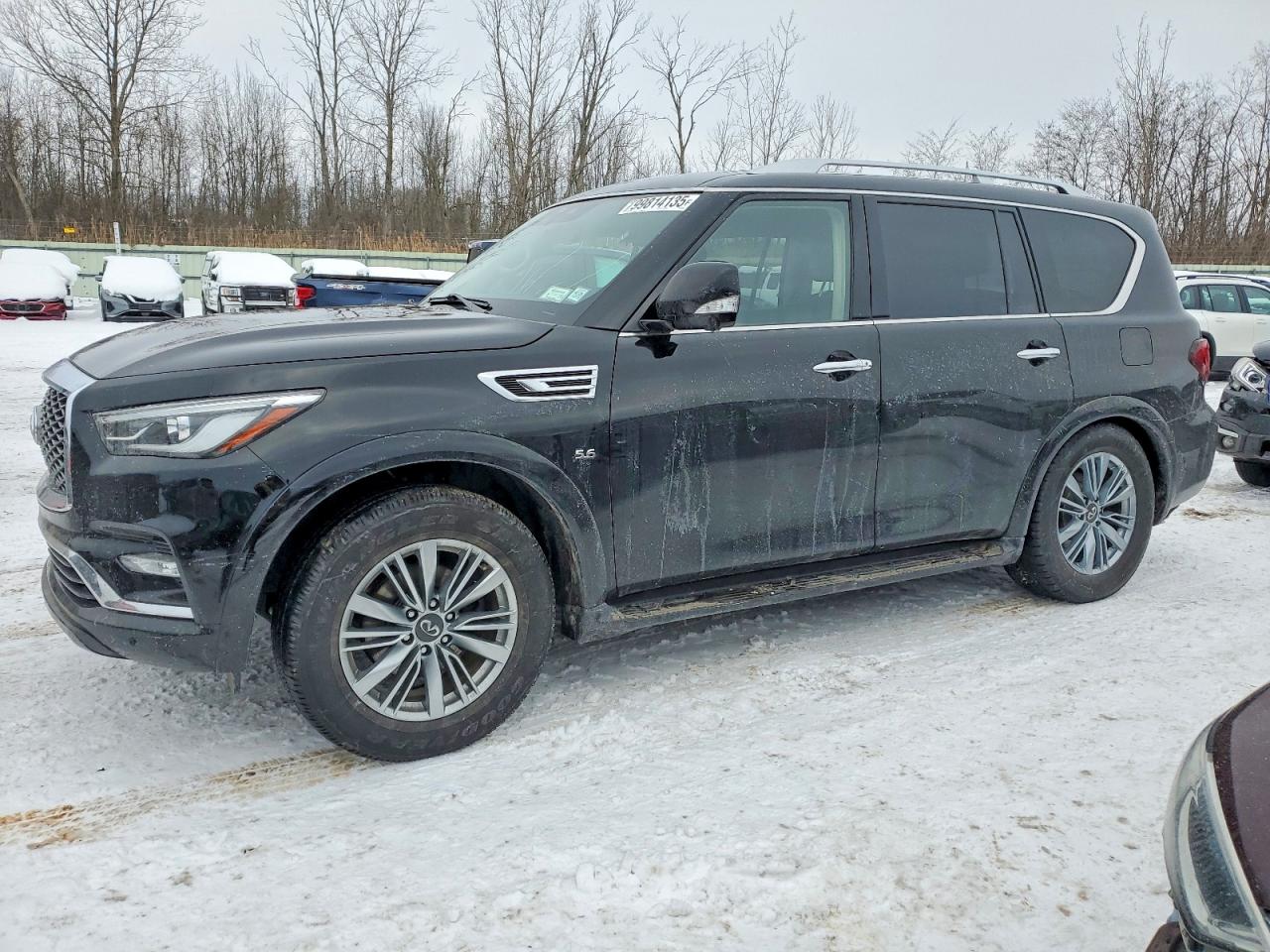 2019 INFINITI QX80