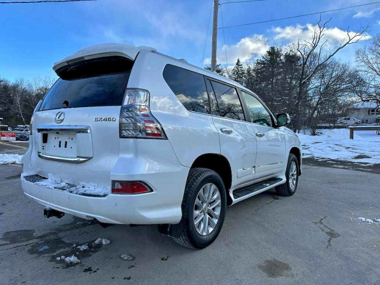 2017 LEXUS GX 460 photo 3