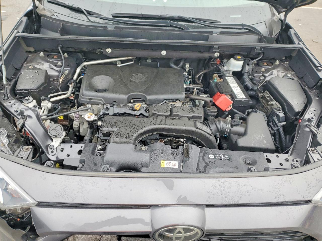2019 TOYOTA RAV4 XLE photo 12