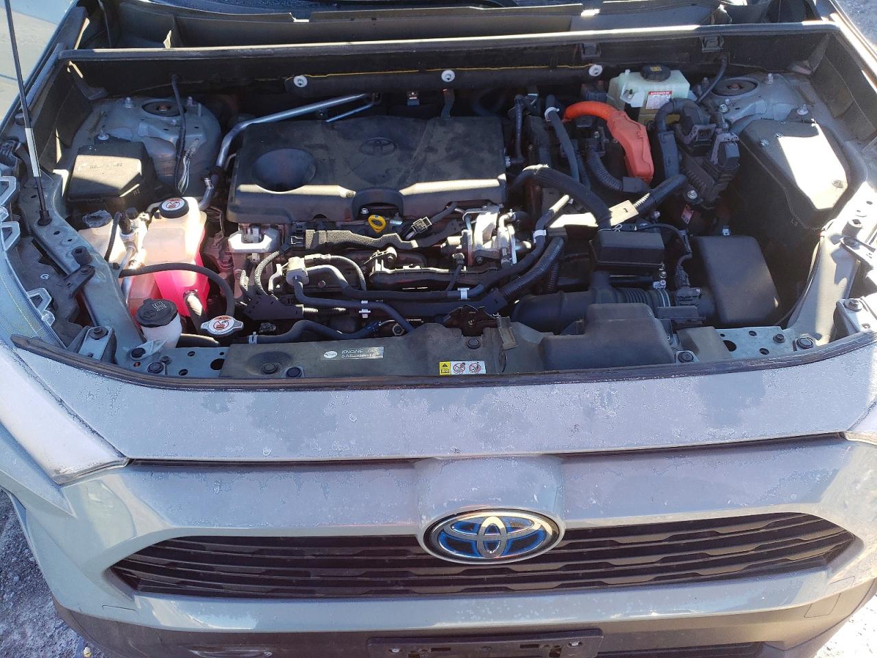 2019 TOYOTA RAV4 XLE photo 12