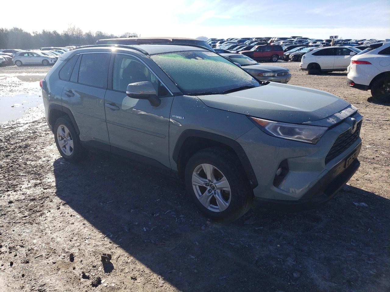 2019 TOYOTA RAV4 XLE photo 4