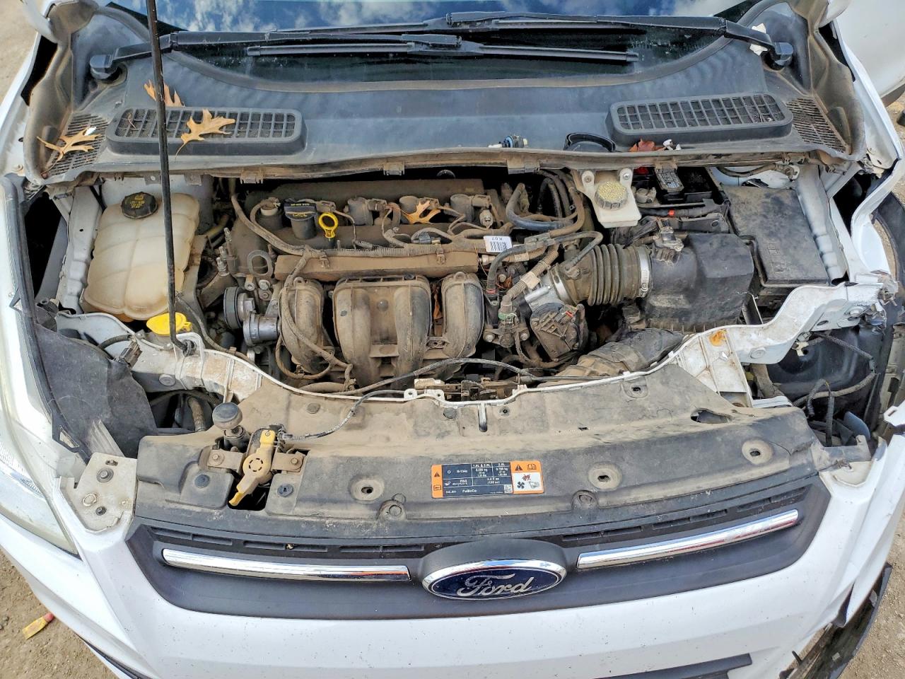 2016 FORD ESCAPE SE photo 12
