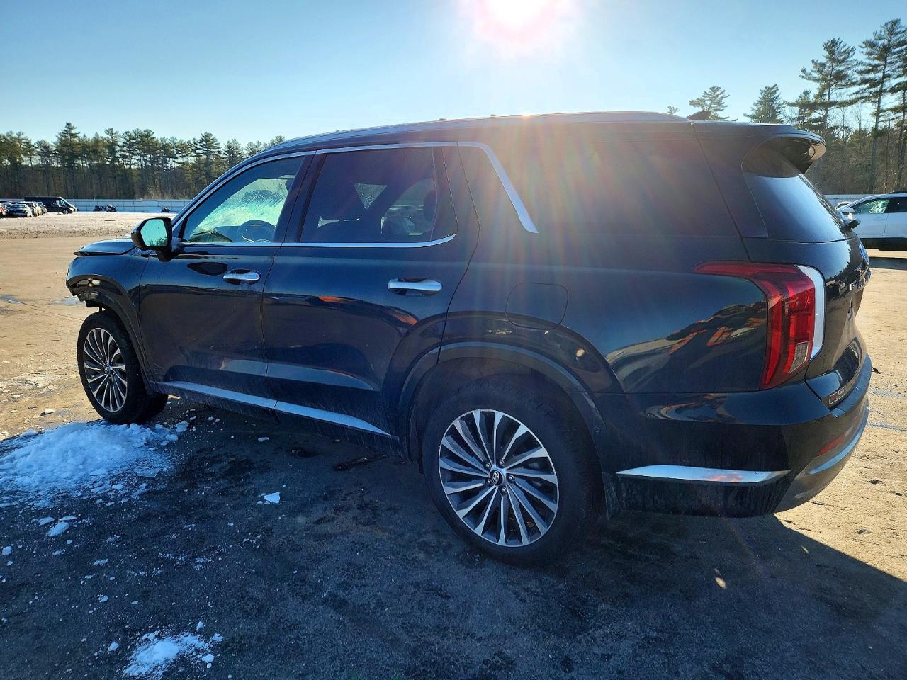 2024 HYUNDAI PALISADE CALLIGRAPHY photo 2