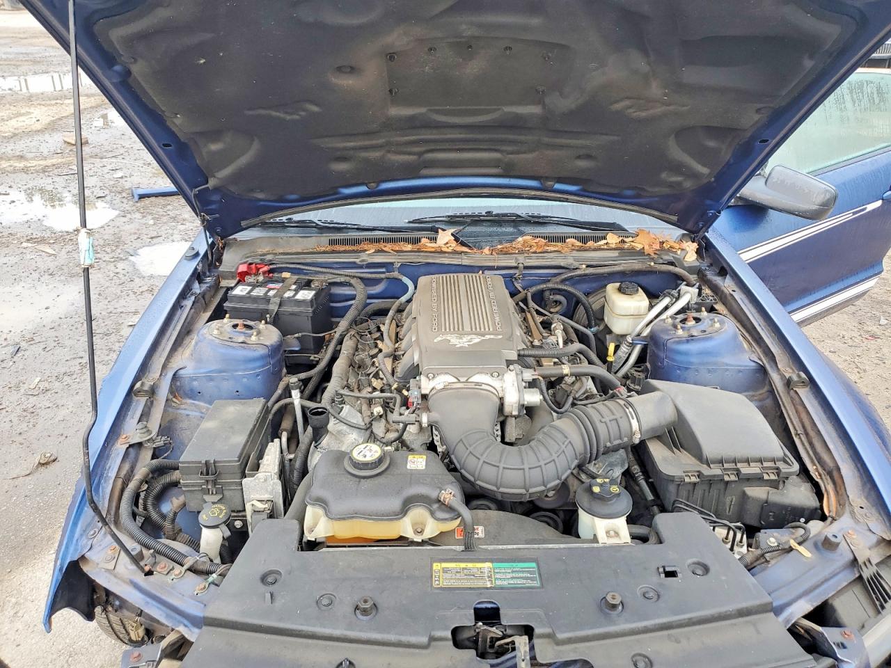 2008 FORD MUSTANG GT photo 11