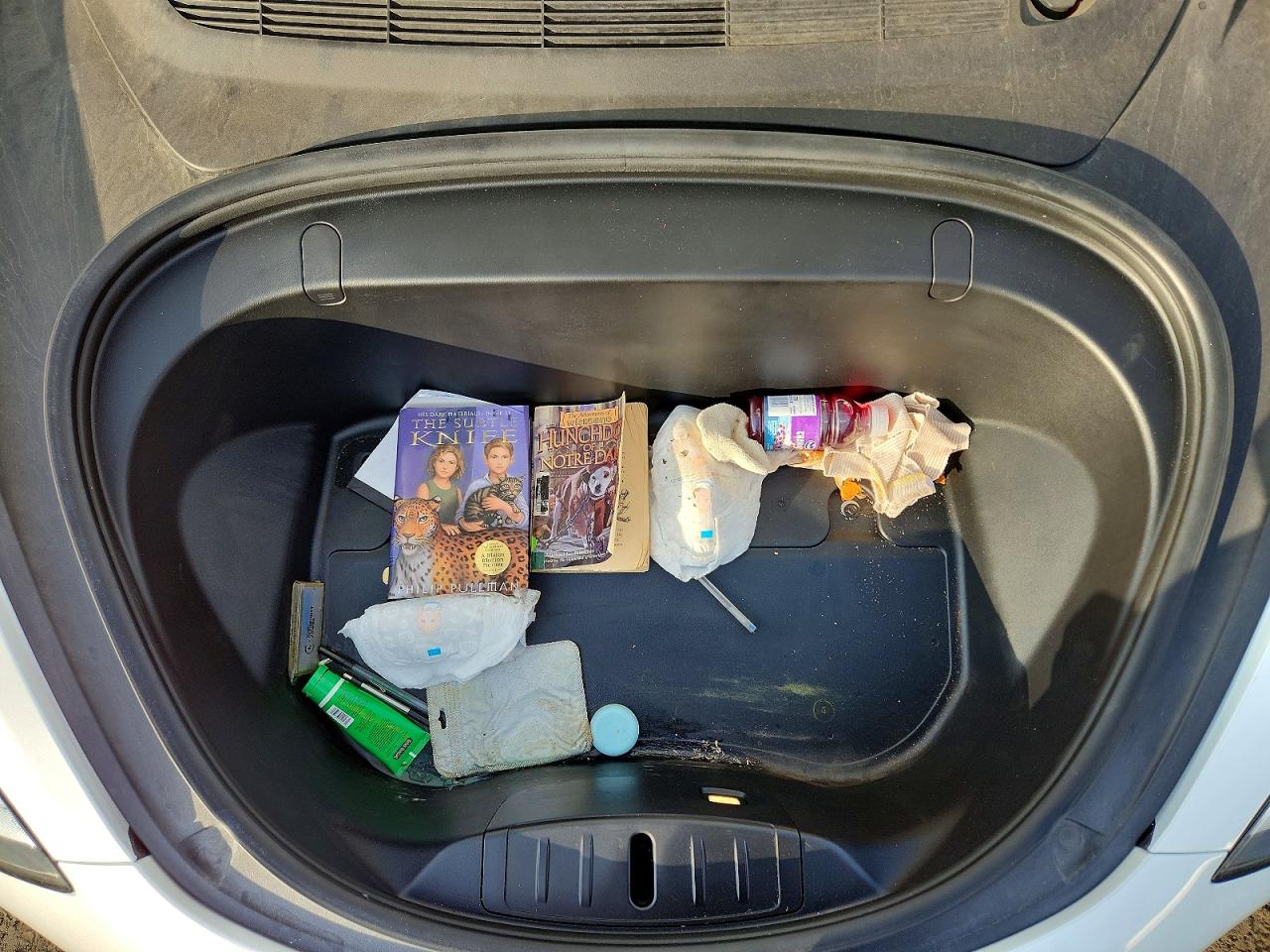 2019 TESLA MODEL 3 photo 11