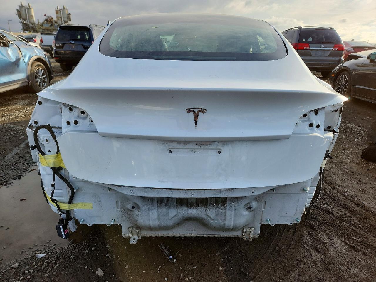 2019 TESLA MODEL 3 photo 6