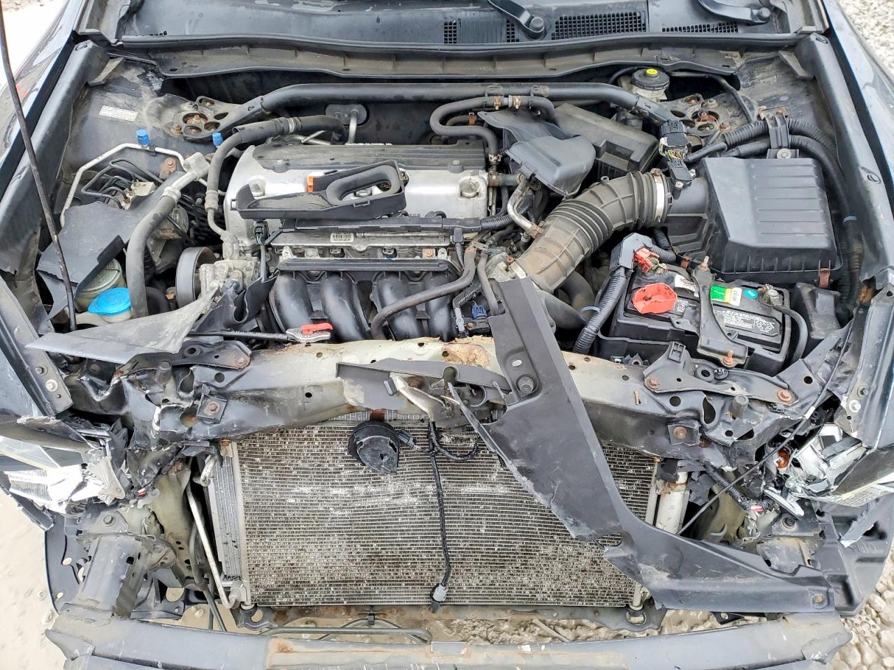 2010 HONDA ACCORD EXL photo 11