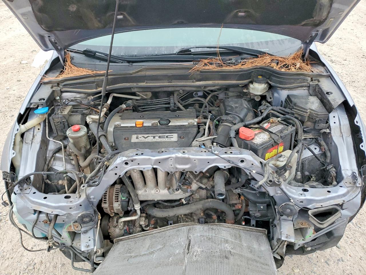 2008 HONDA CR-V LX photo 12