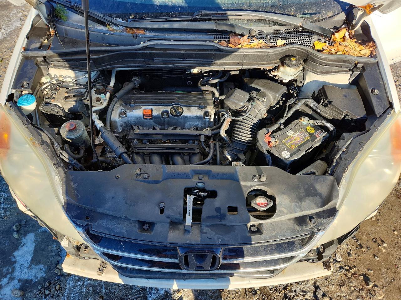 2010 HONDA CR-V EX photo 12