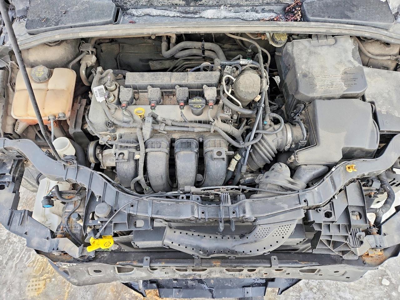 2014 FORD FOCUS SE photo 11