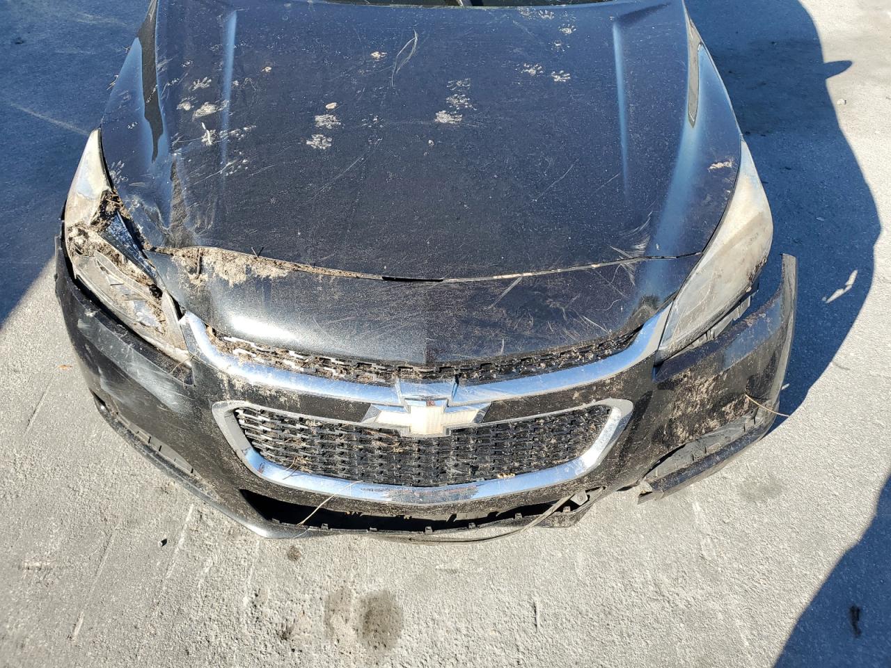 2014 CHEVROLET MALIBU LS photo 11