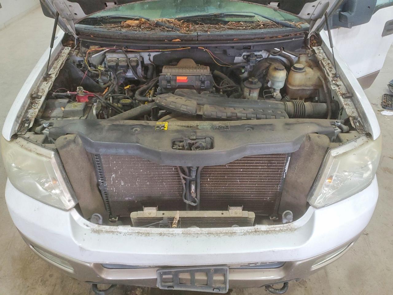 2004 FORD F150 SUPERCREW photo 11