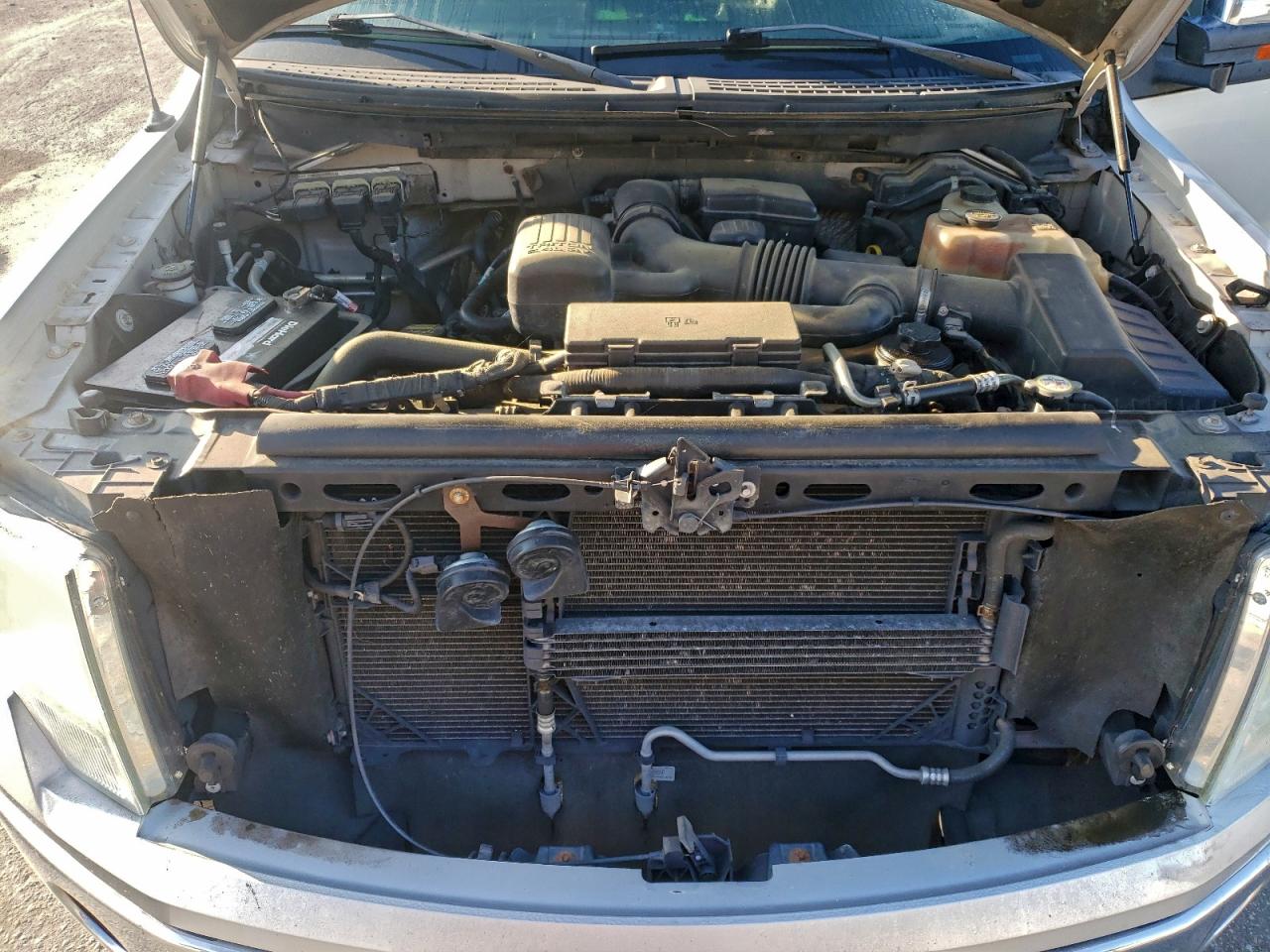 2010 FORD F150 SUPERCREW photo 11