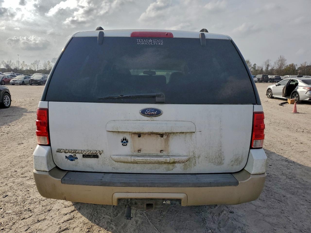 2006 FORD EXPEDITION EDDIE BAUER photo 6