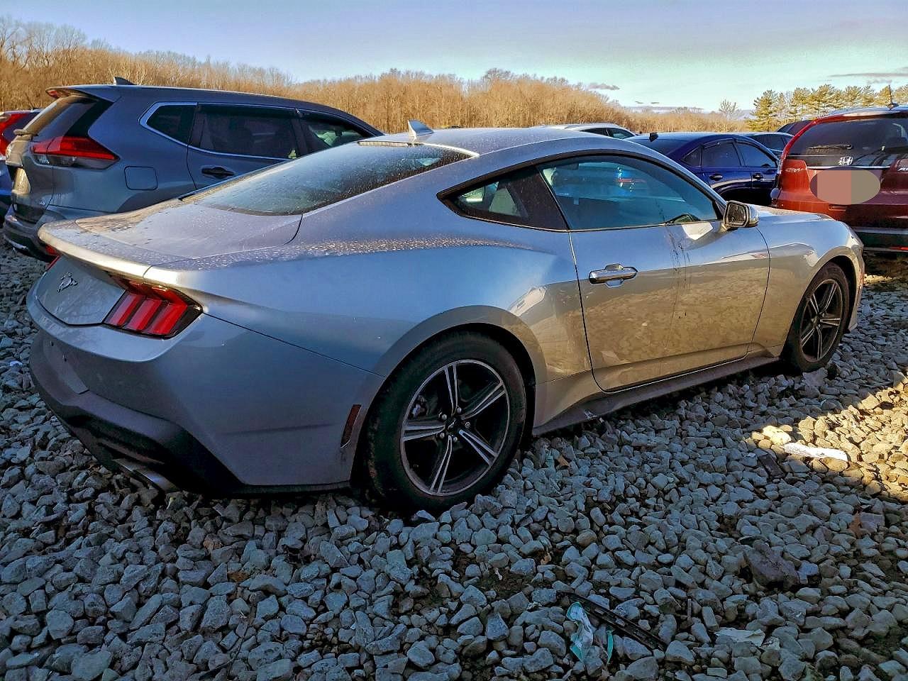 2025 FORD MUSTANG photo 3