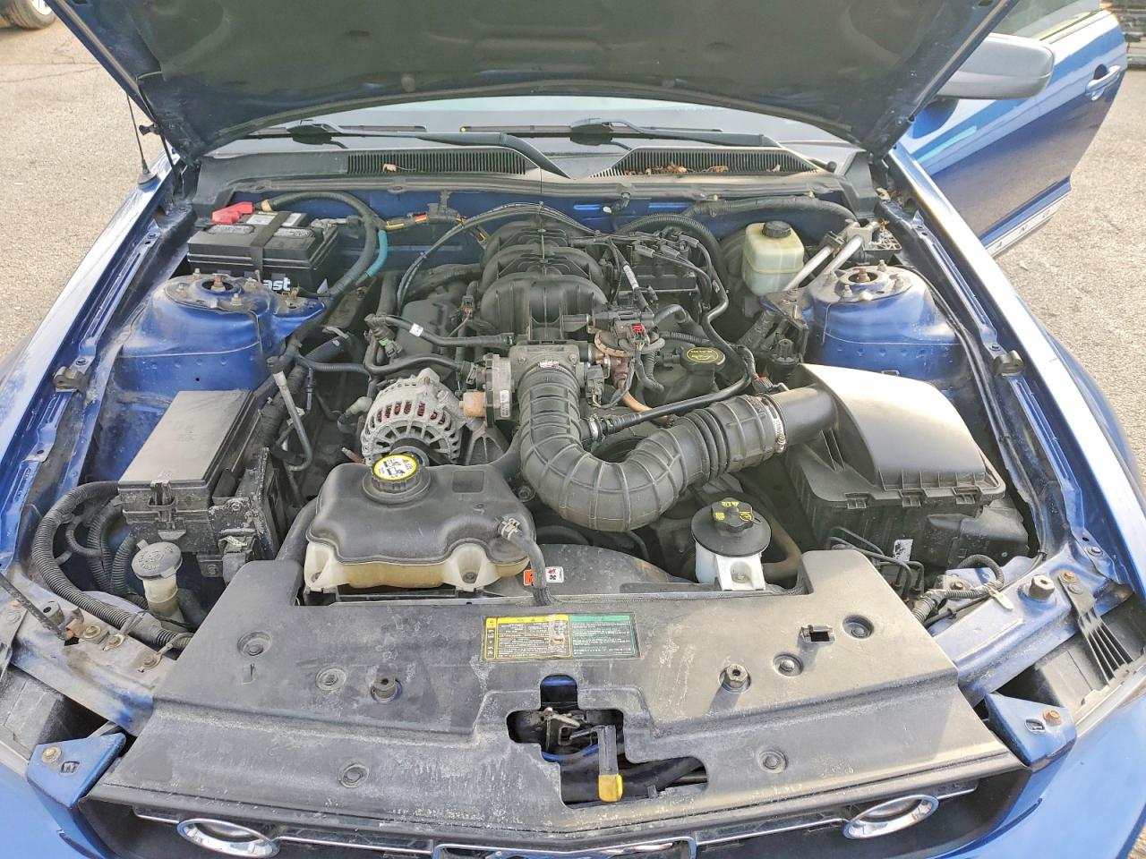 2006 FORD MUSTANG photo 11