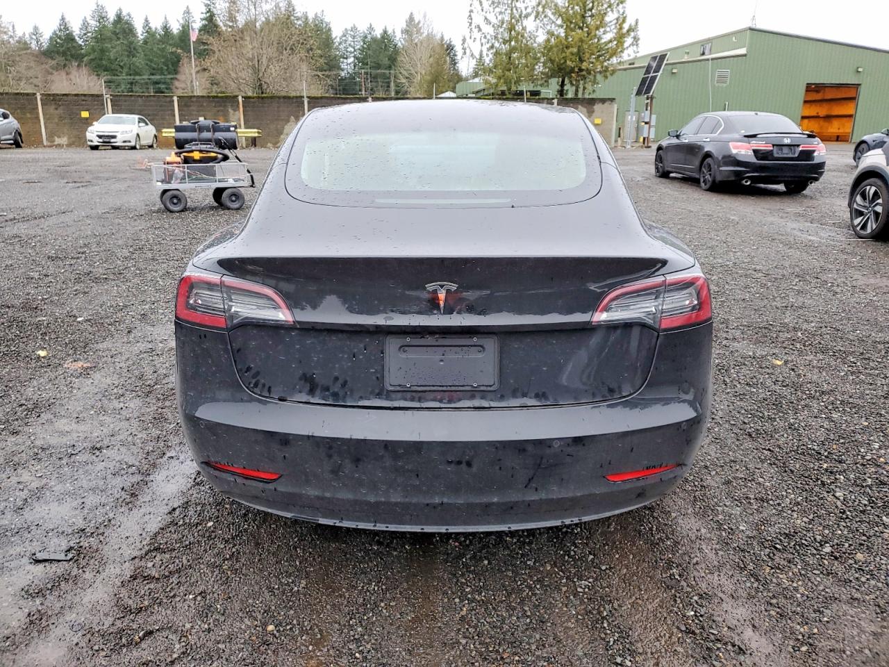 2019 TESLA MODEL 3 photo 6