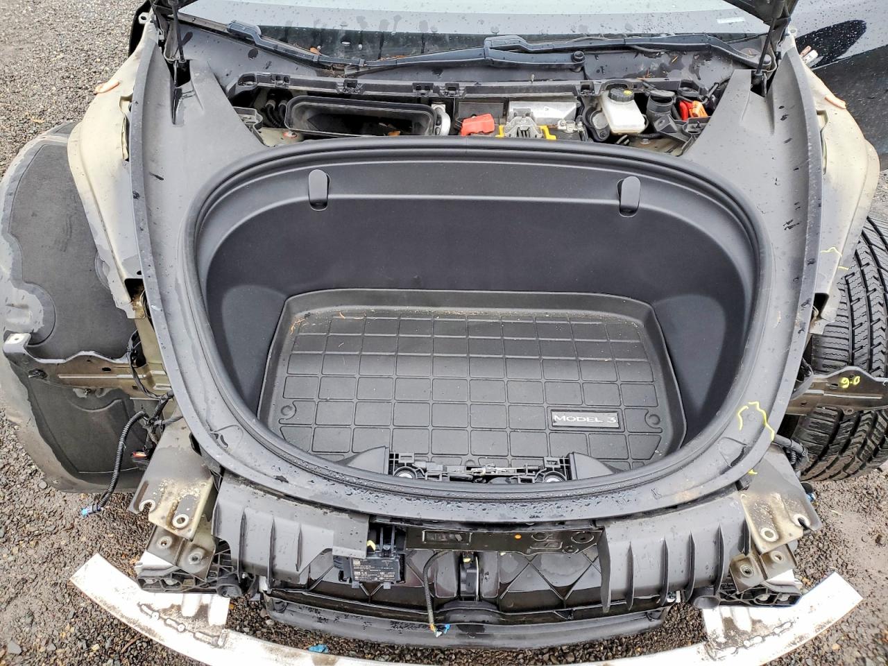 2019 TESLA MODEL 3 photo 11