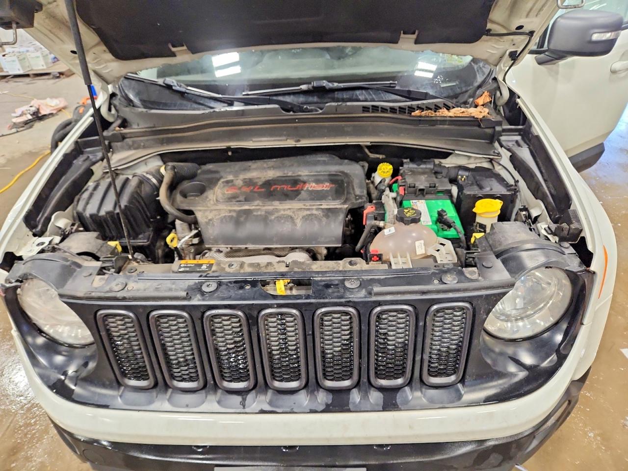 2017 JEEP RENEGADE TRAILHAWK photo 12