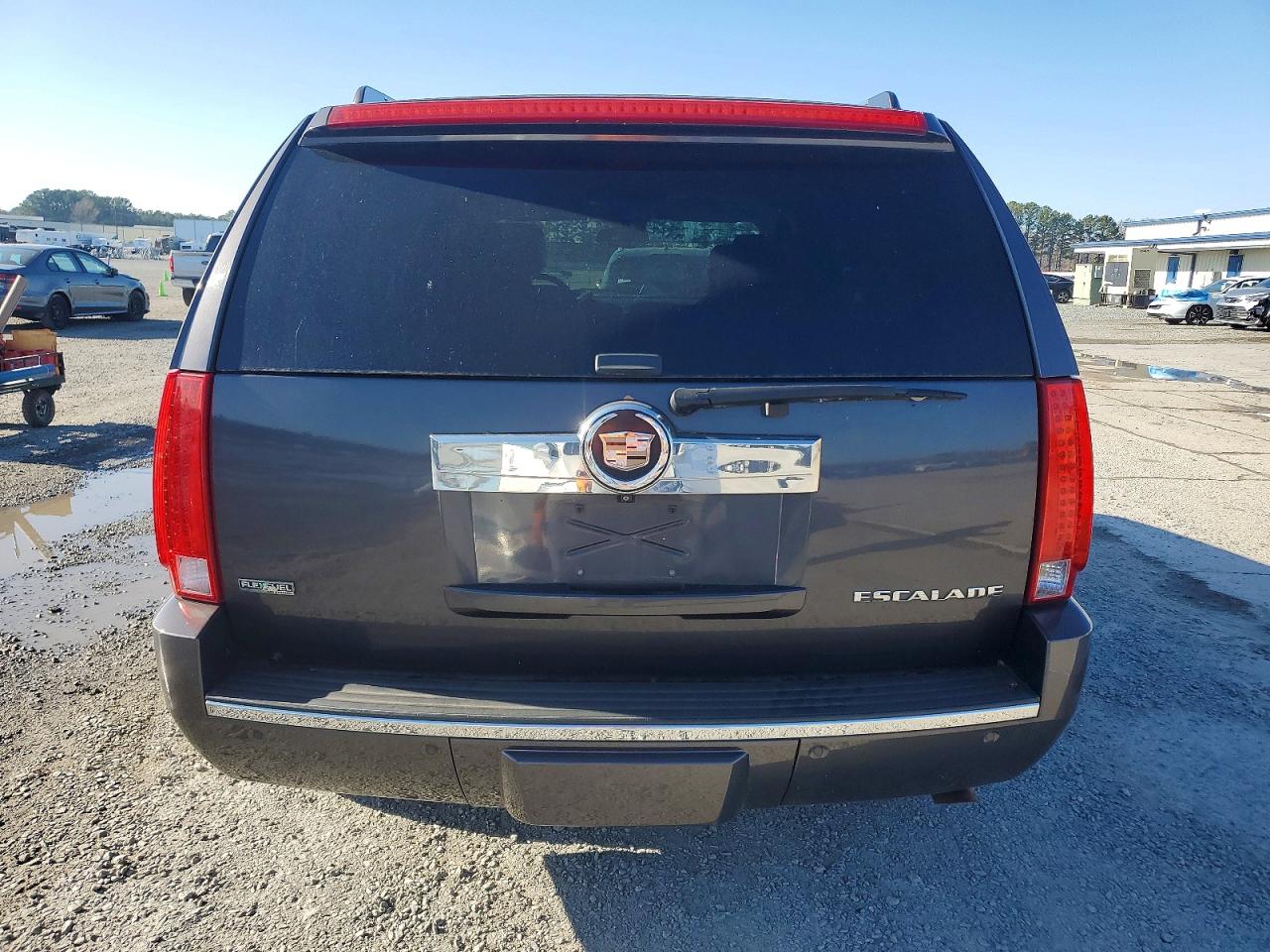 2010 CADILLAC ESCALADE LUXURY photo 6