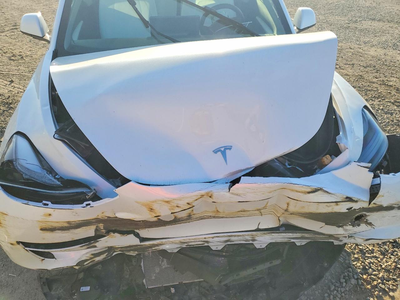2023 TESLA MODEL 3 photo 11