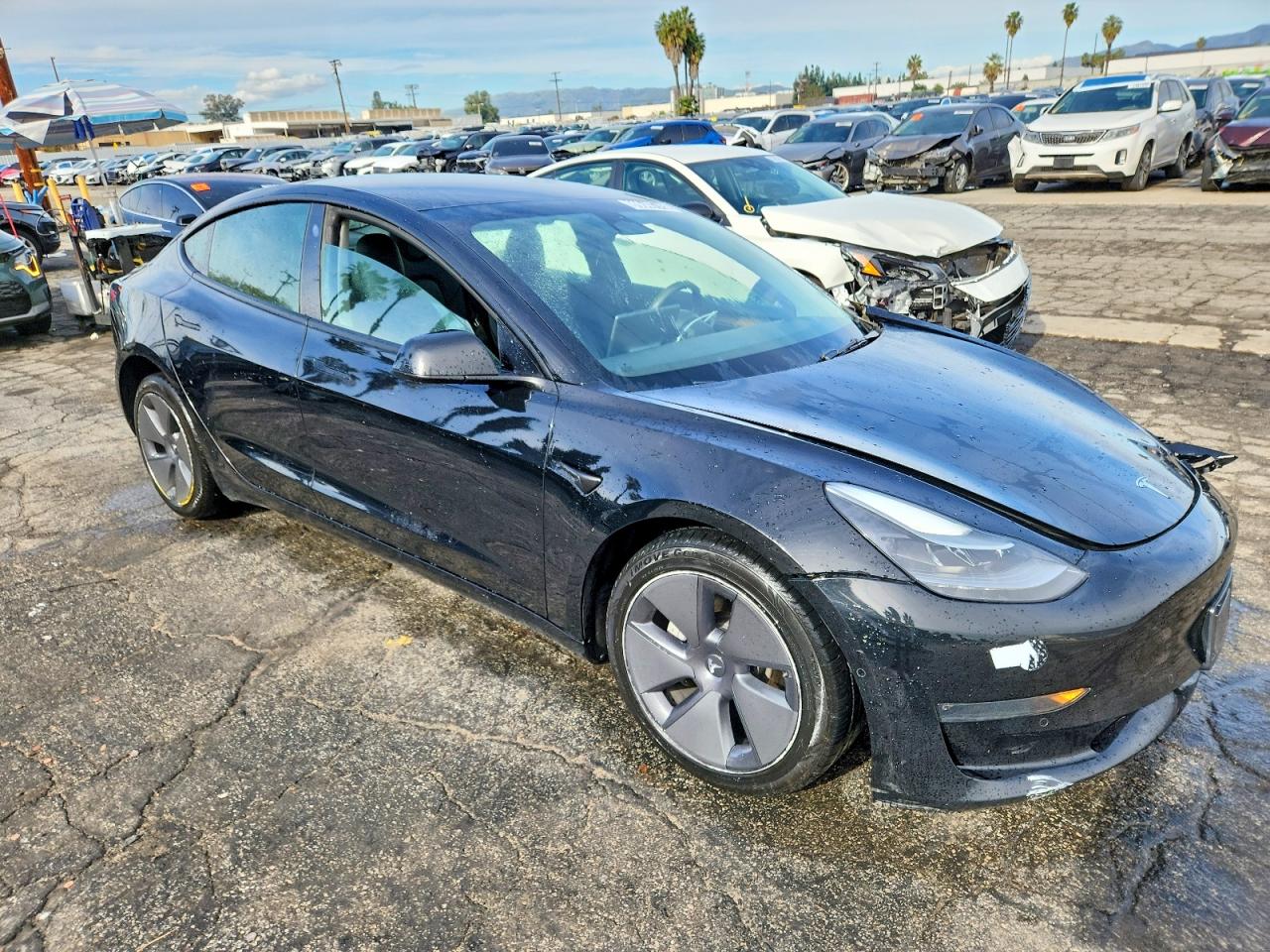 2022 TESLA MODEL 3 photo 4