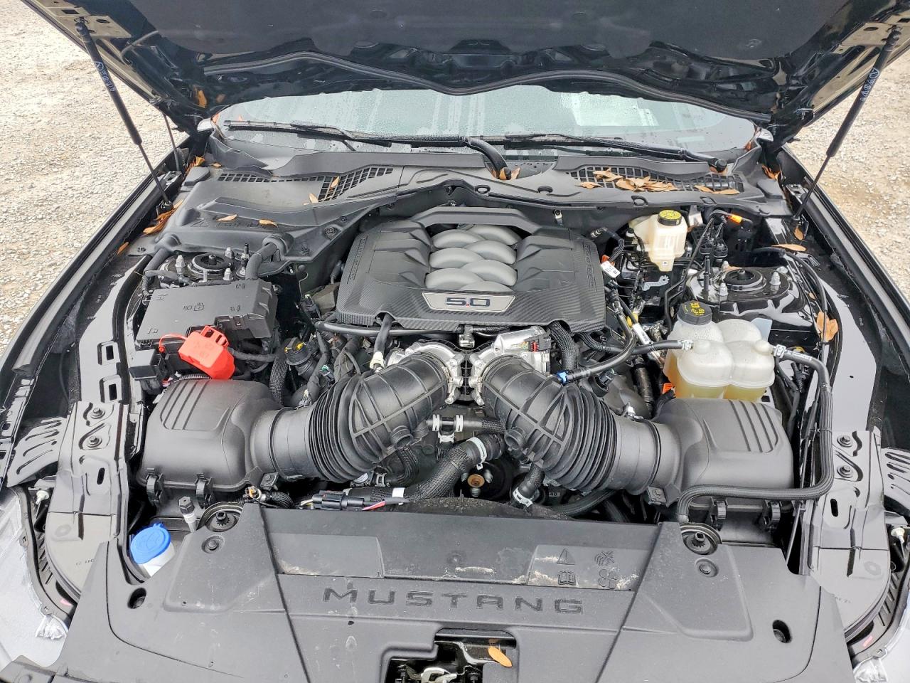 2025 FORD MUSTANG GT photo 11