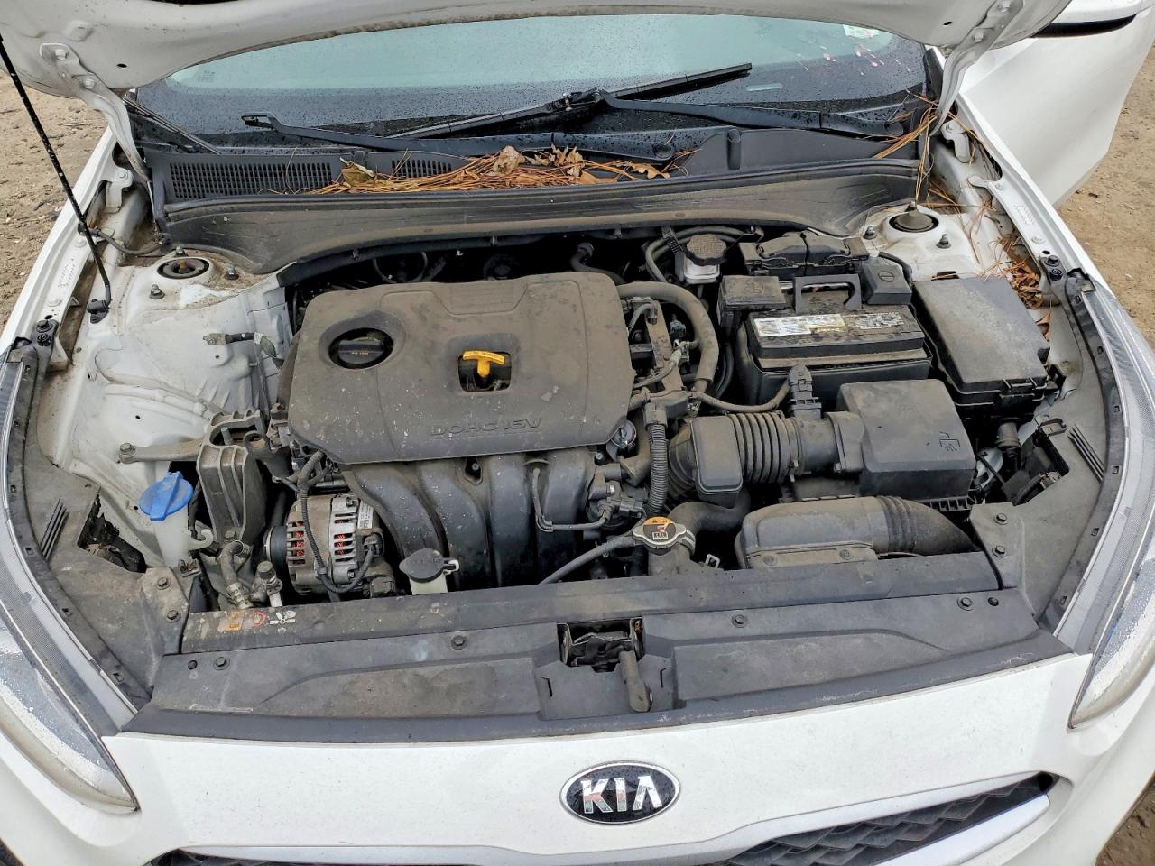 2019 KIA FORTE FE photo 11