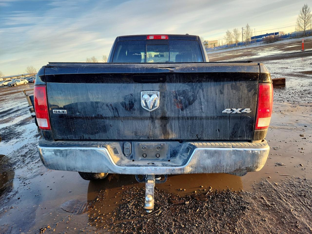 2010 DODGE RAM 1500 photo 6