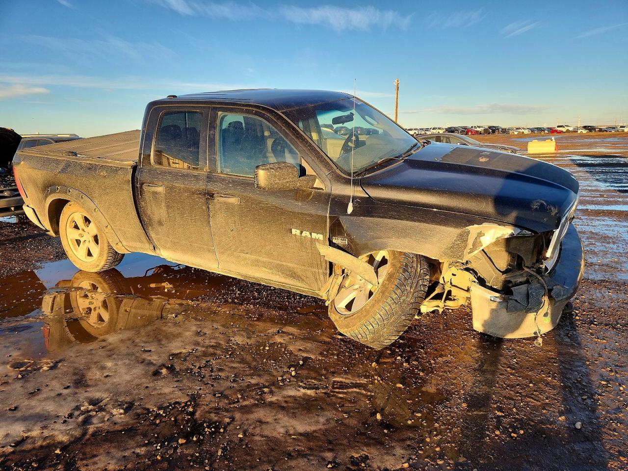 2010 DODGE RAM 1500 photo 4