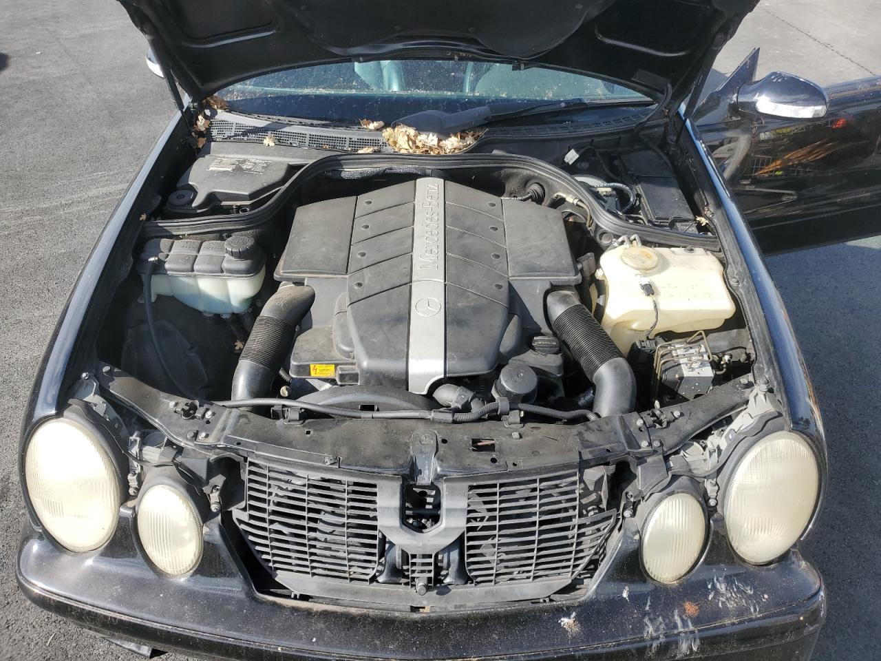 2001 MERCEDES-BENZ CLK 430 photo 11