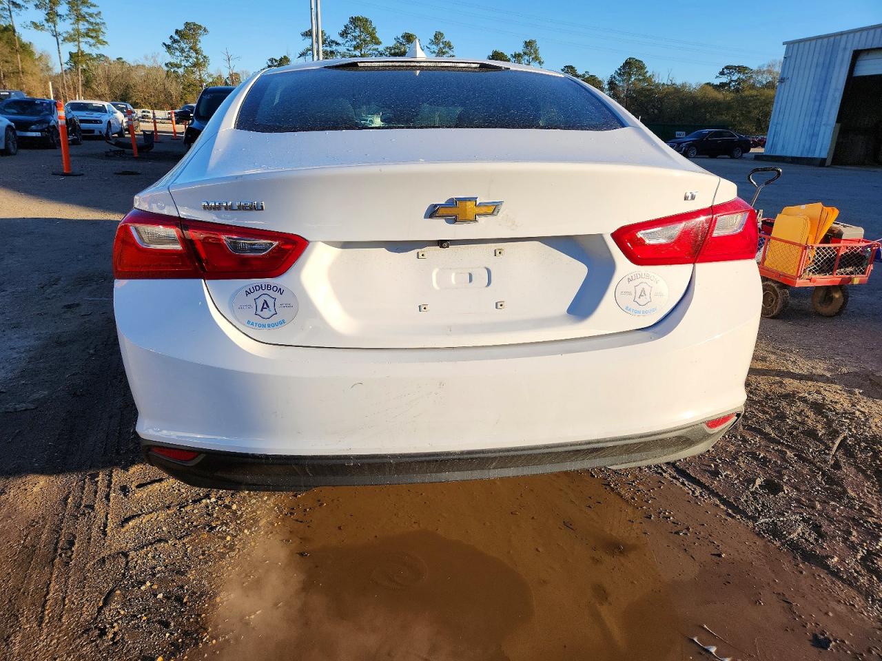 2023 CHEVROLET MALIBU LT photo 6