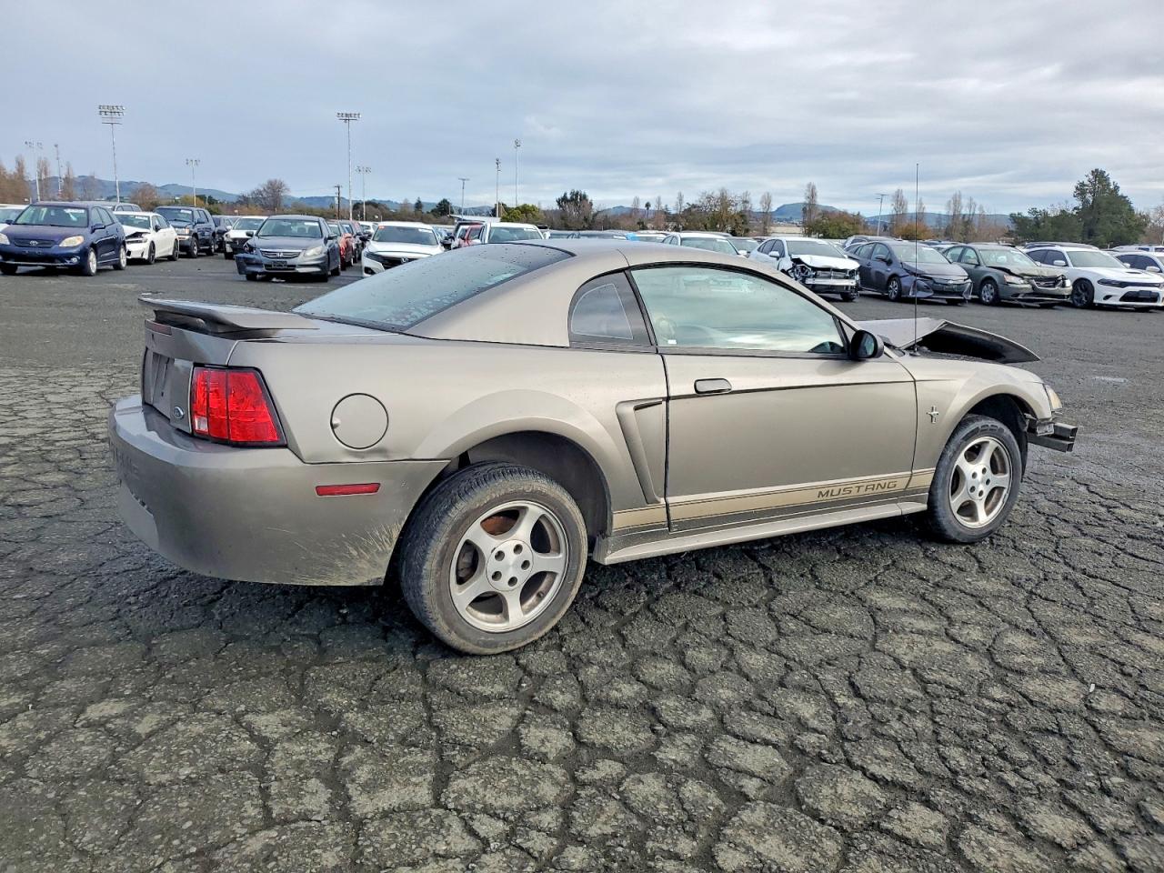 2002 FORD MUSTANG photo 3