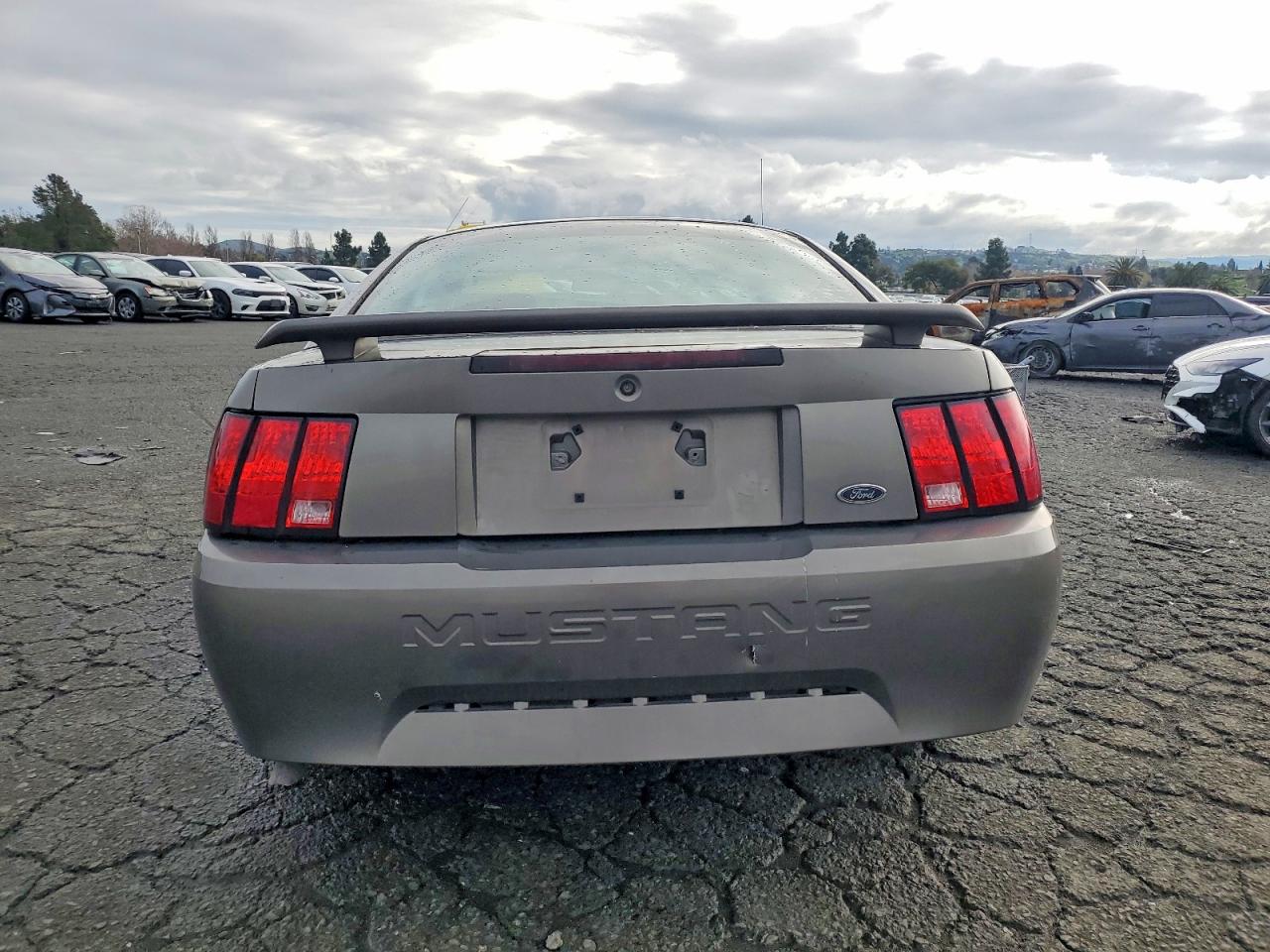 2002 FORD MUSTANG photo 6