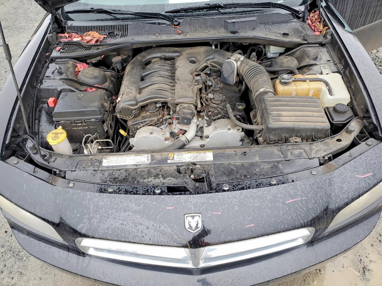 2010 DODGE CHARGER SXT photo 11