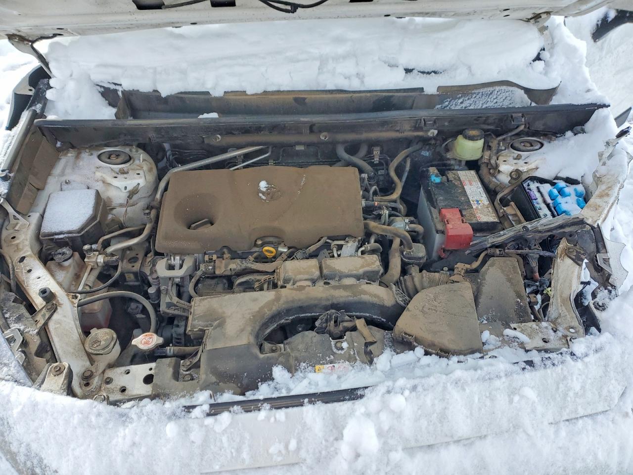 2019 TOYOTA RAV4 LE photo 21