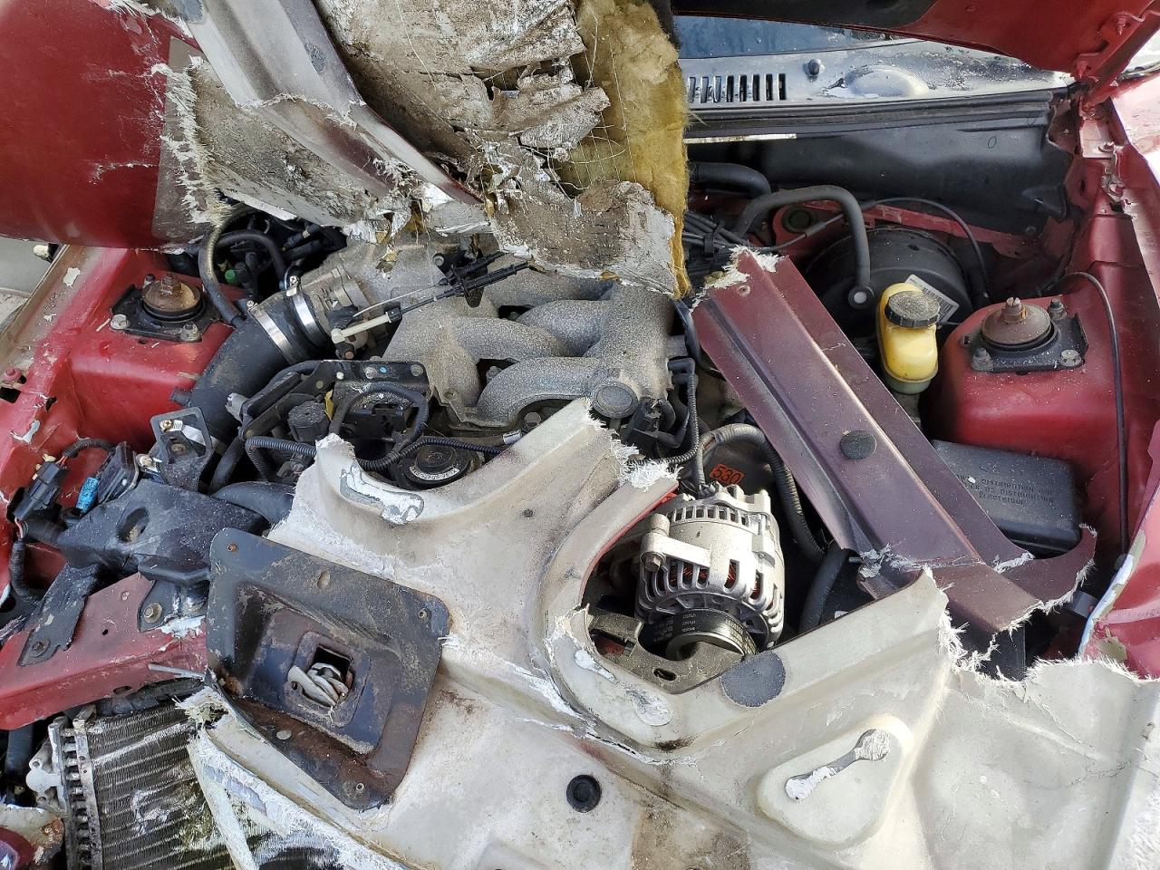 2004 FORD MUSTANG photo 11