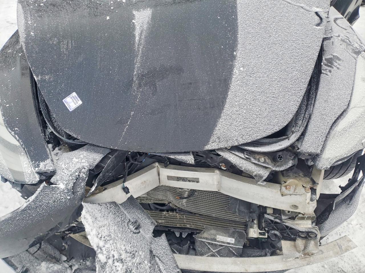 2019 TESLA MODEL 3 photo 21