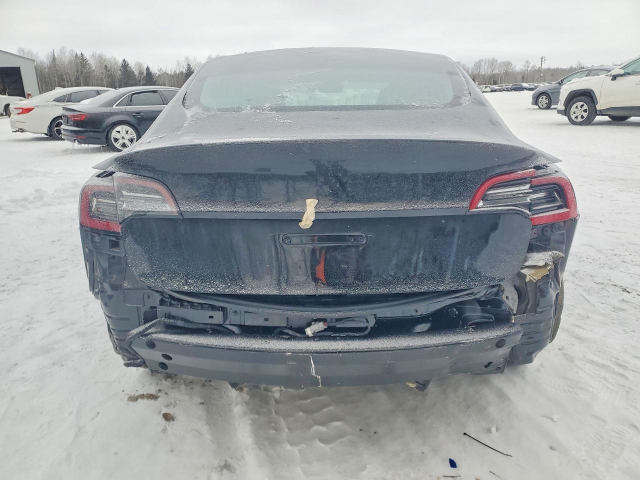 2019 TESLA MODEL 3 photo 11