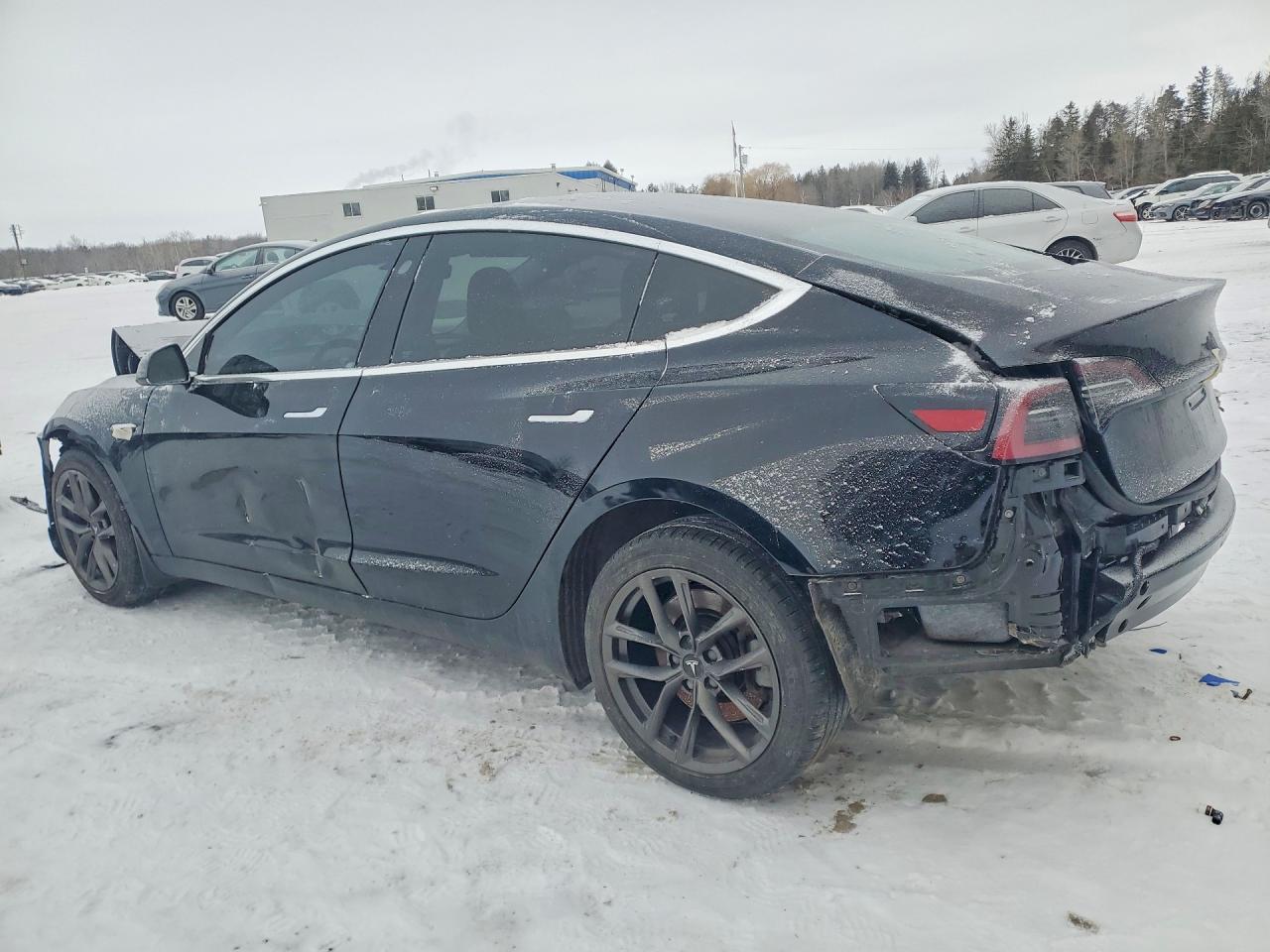 2019 TESLA MODEL 3 photo 3