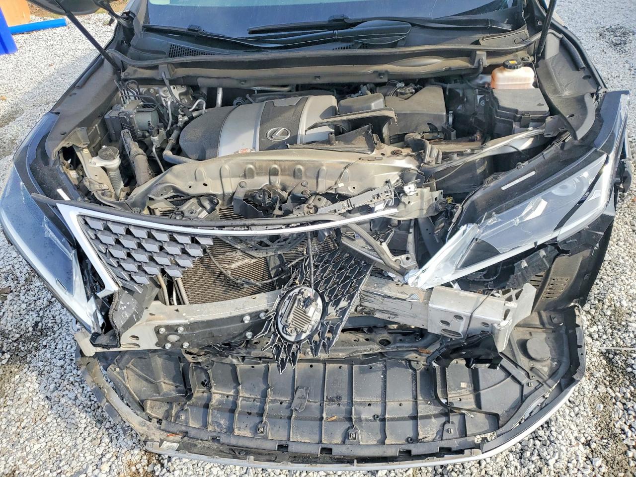2021 LEXUS RX 350 photo 12