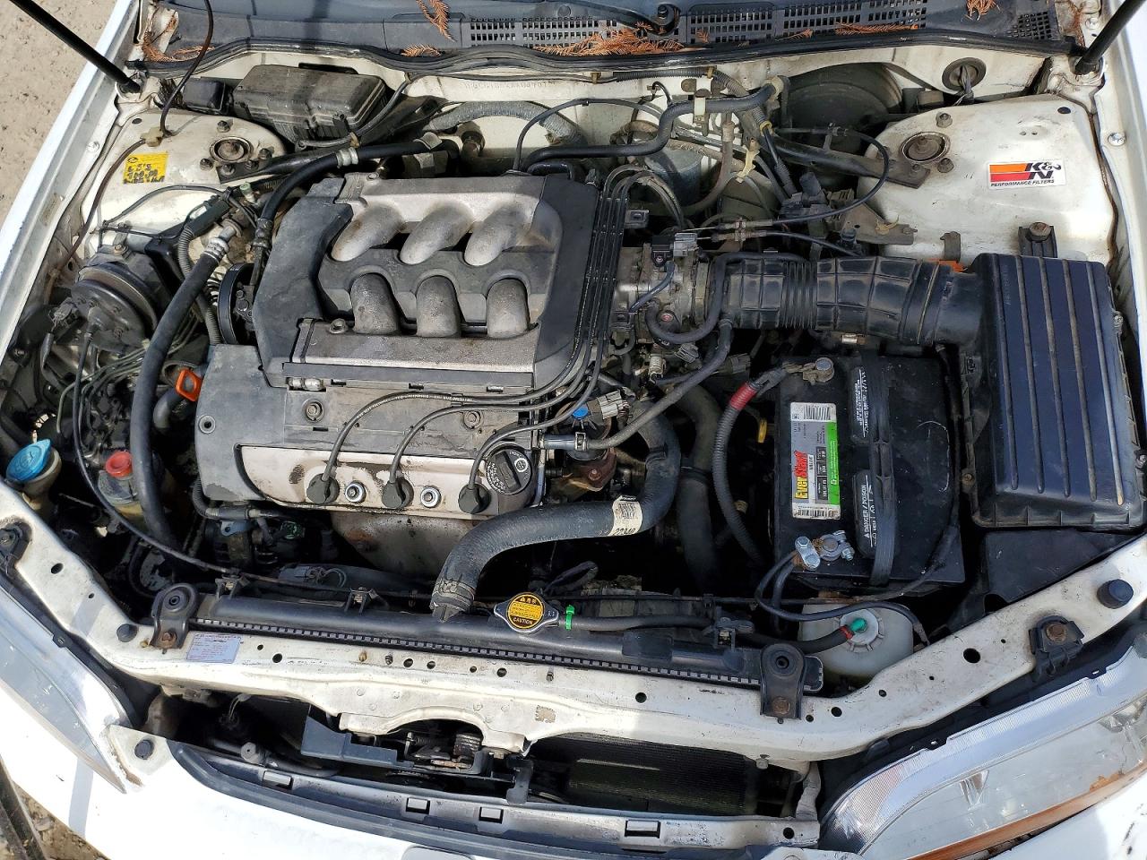 1999 HONDA ACCORD EX photo 11