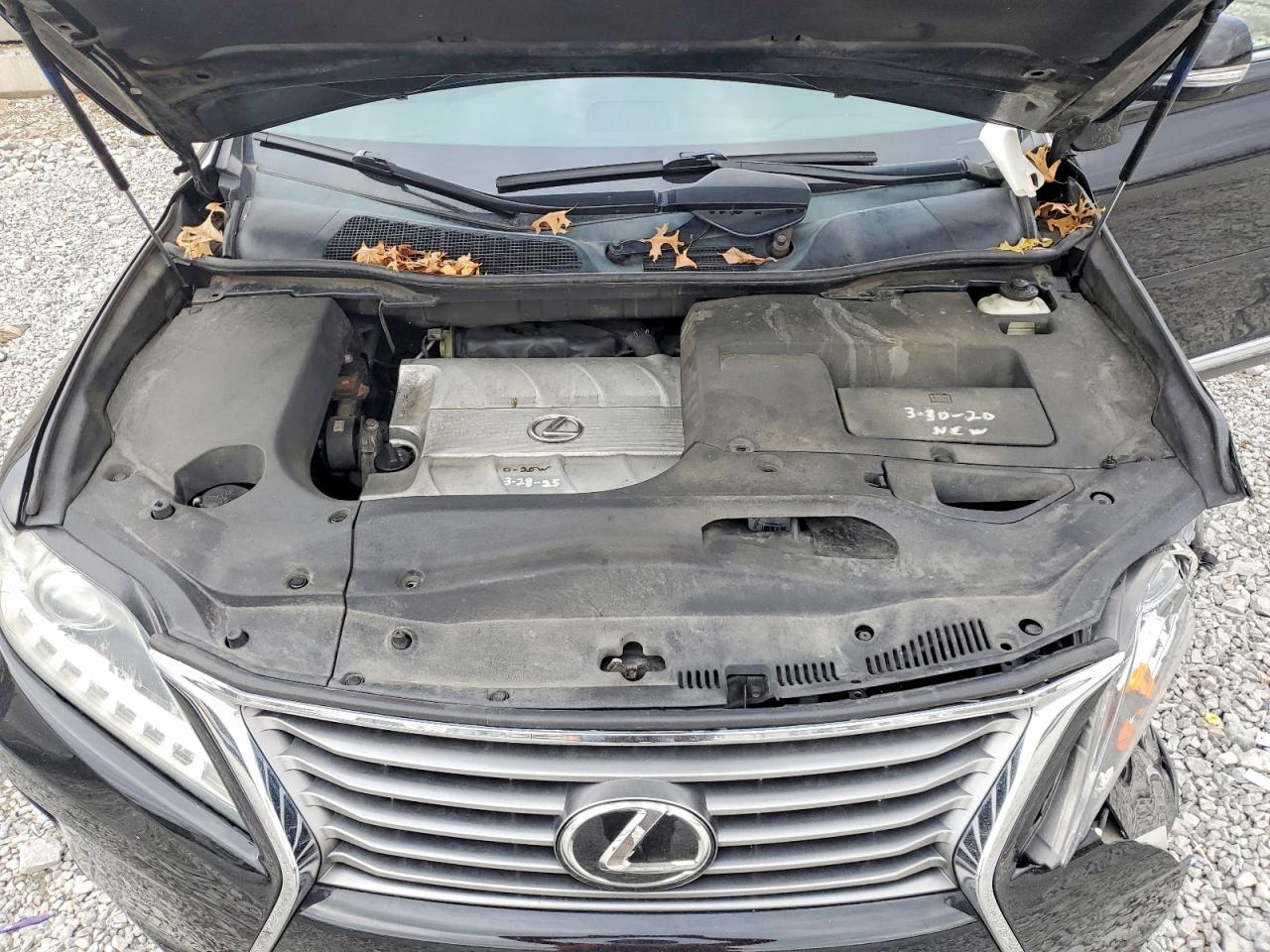 2013 LEXUS RX 350 BASE photo 12