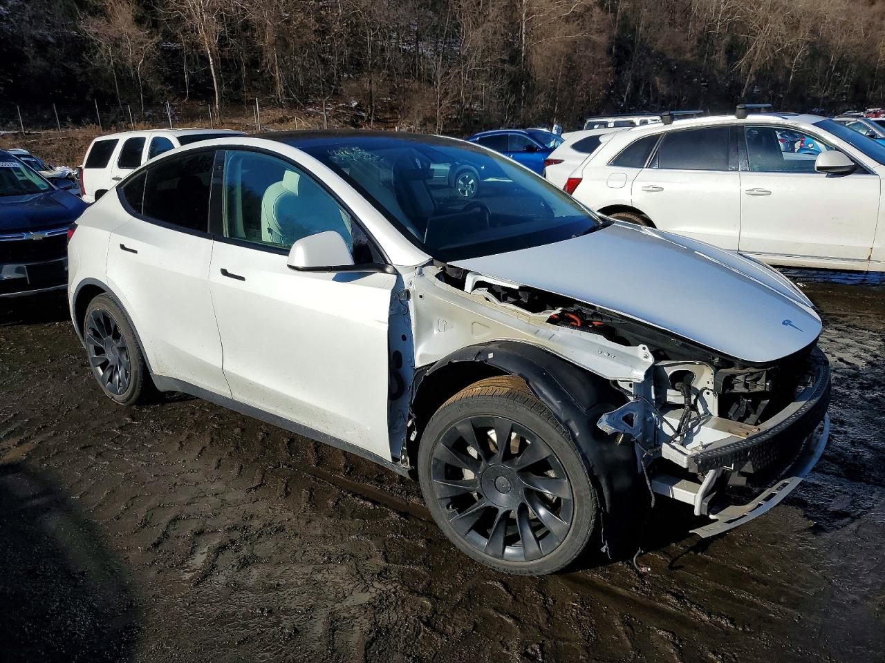 2021 TESLA MODEL Y photo 4