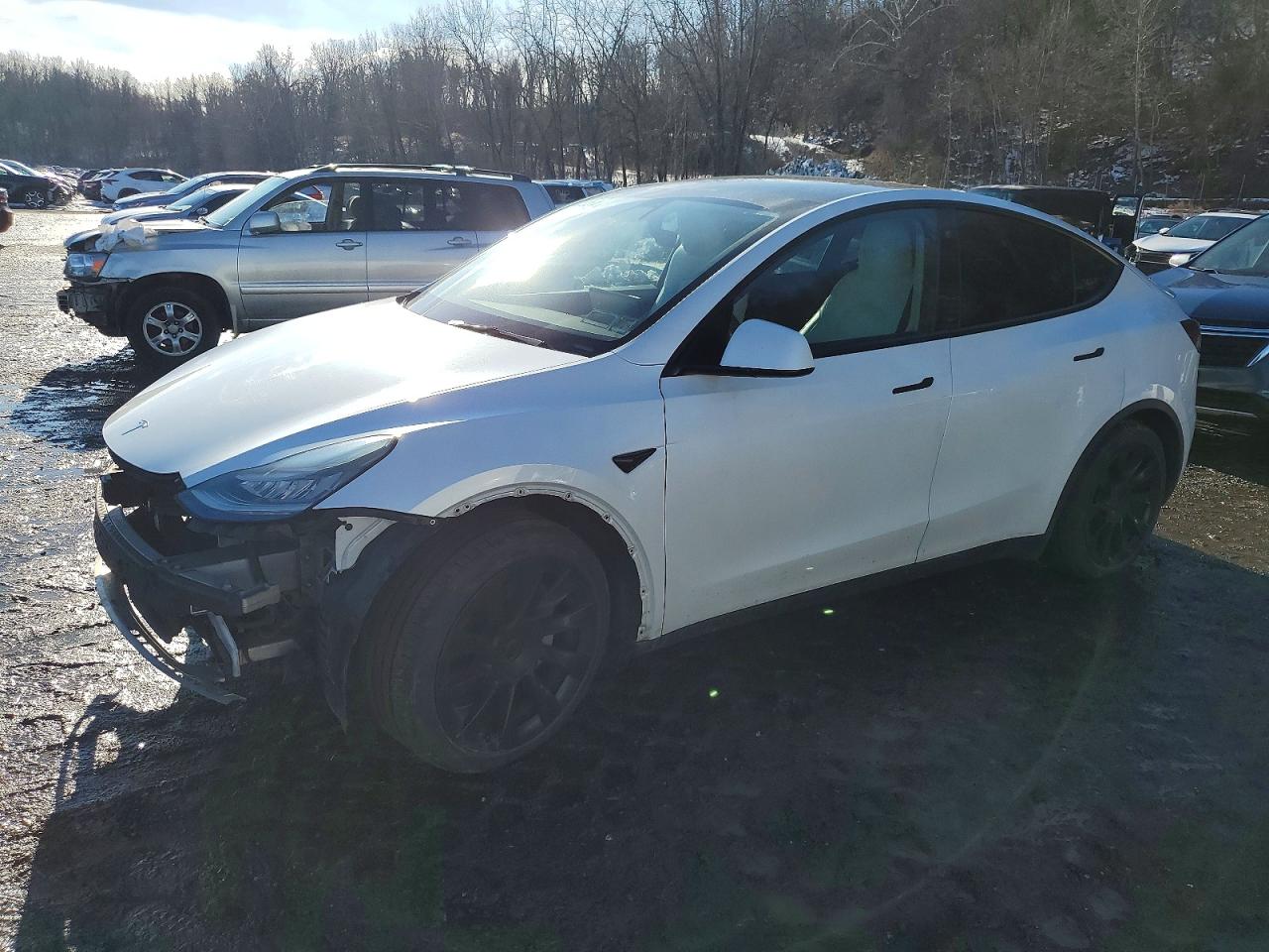 2021 TESLA MODEL Y