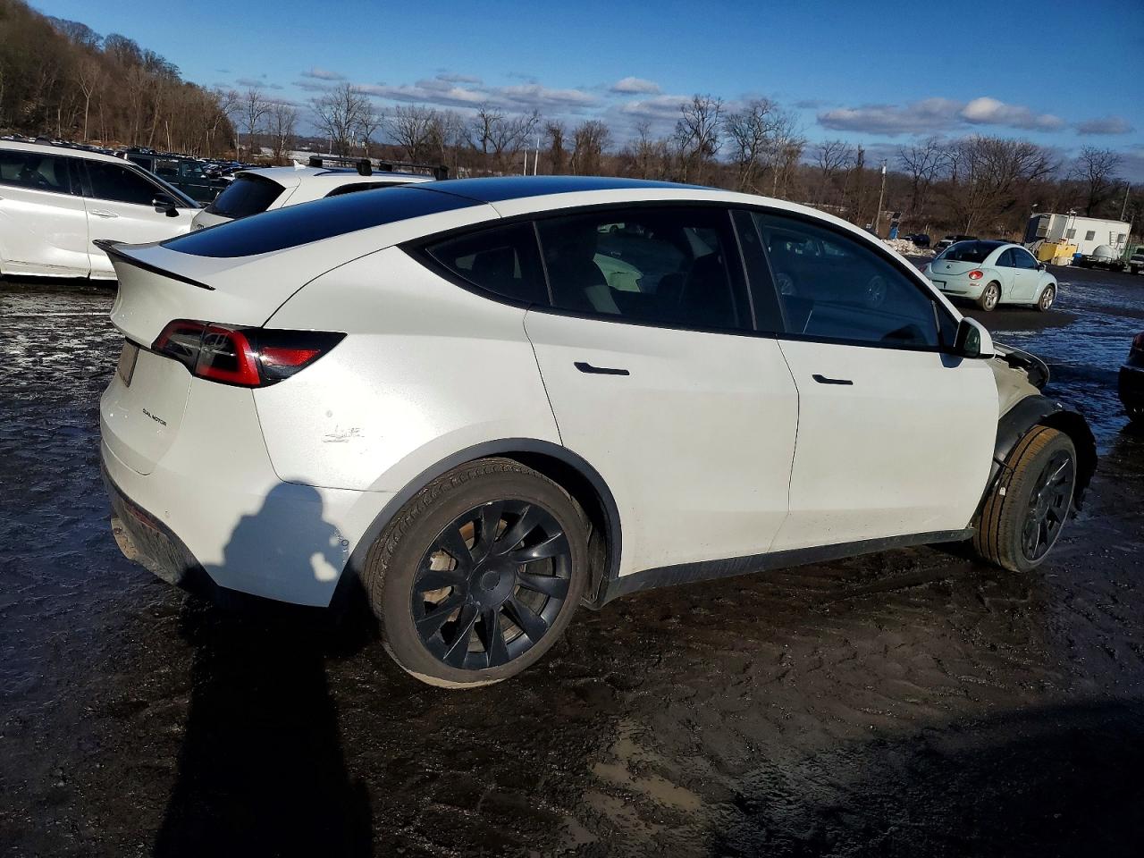 2021 TESLA MODEL Y photo 3