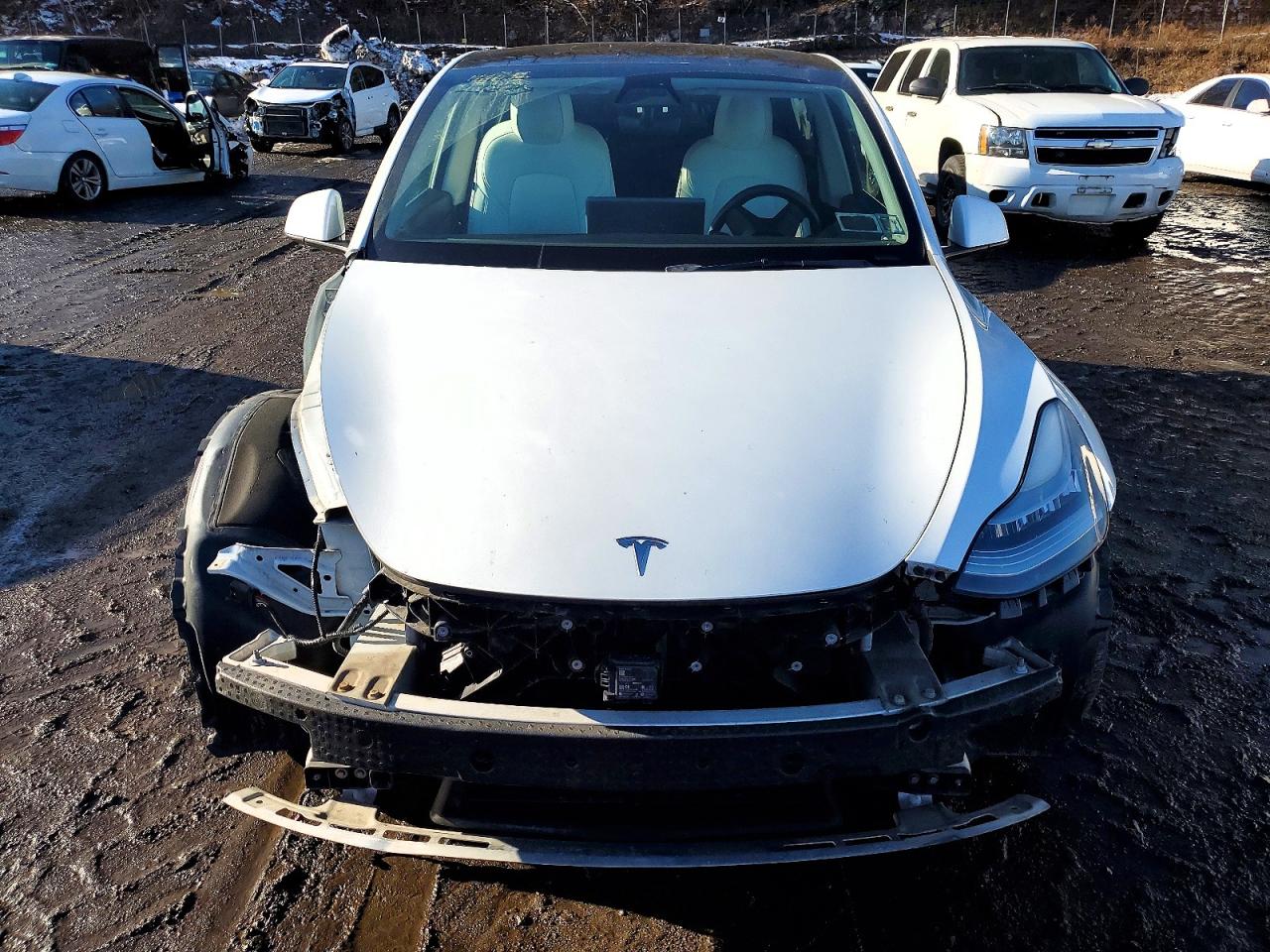 2021 TESLA MODEL Y photo 5